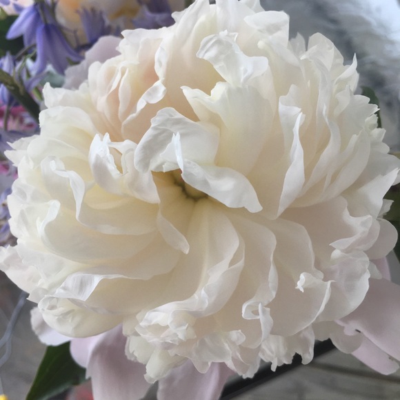 💖Meet your Posher, Eva Like my Closet to Follow! - Picture 8 of 16